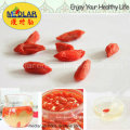 Freeze-Dry Goji Berry in Ningxia